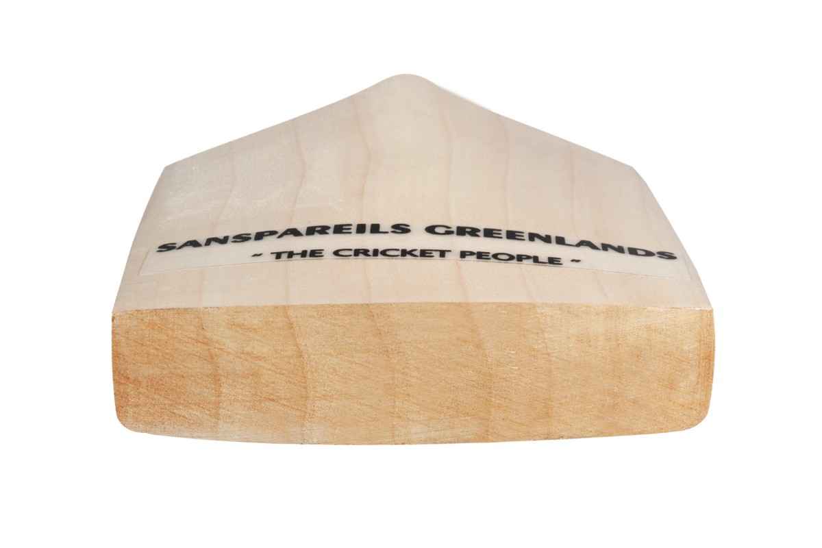 SG Sunny Tonny Arc 2.0 English Willow Cricket Bat