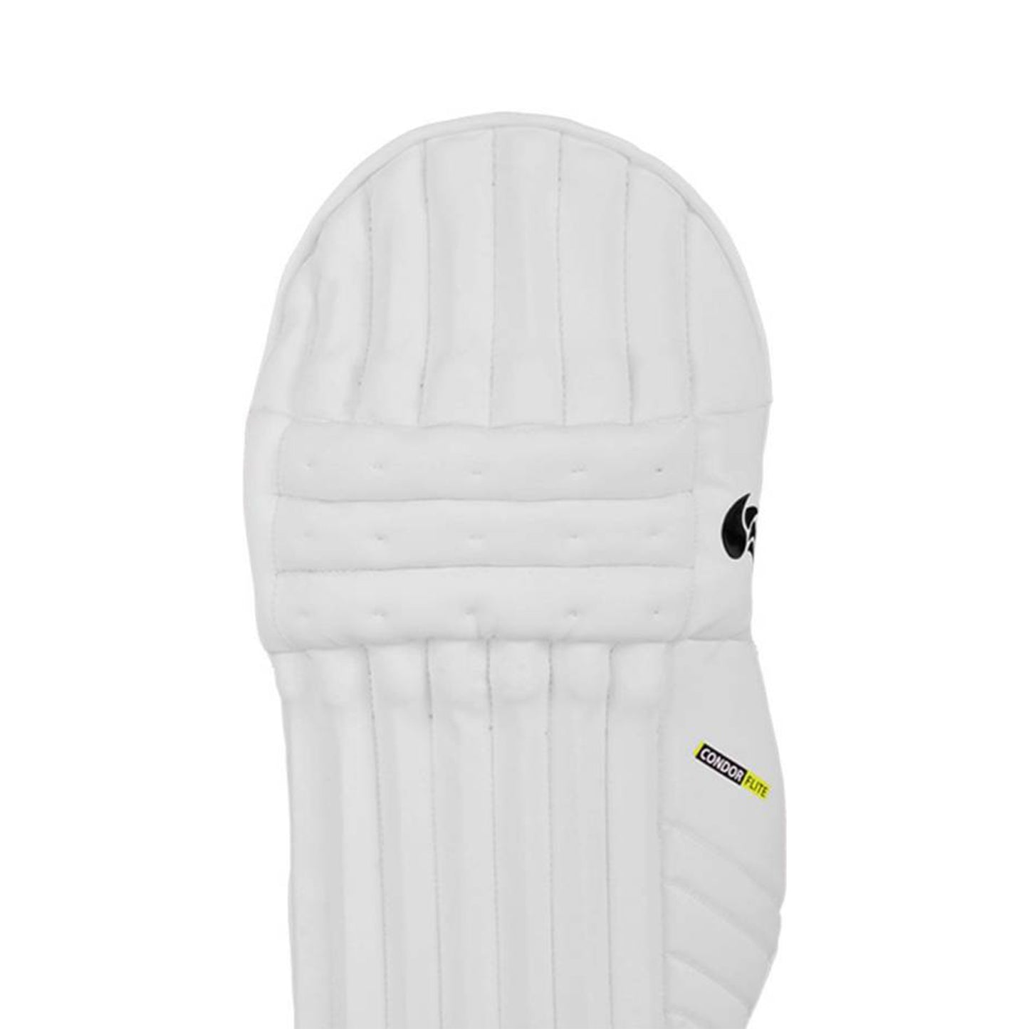 DSC Condor Flite Cricket Batting Pads
