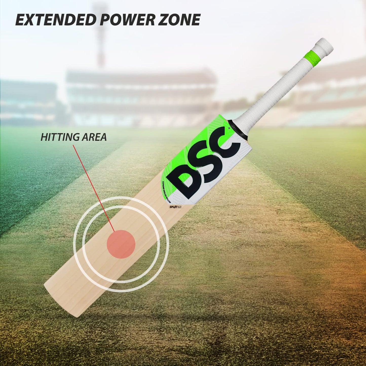 DSC SPLIIT 6.0 English Willow Cricket Bat SH