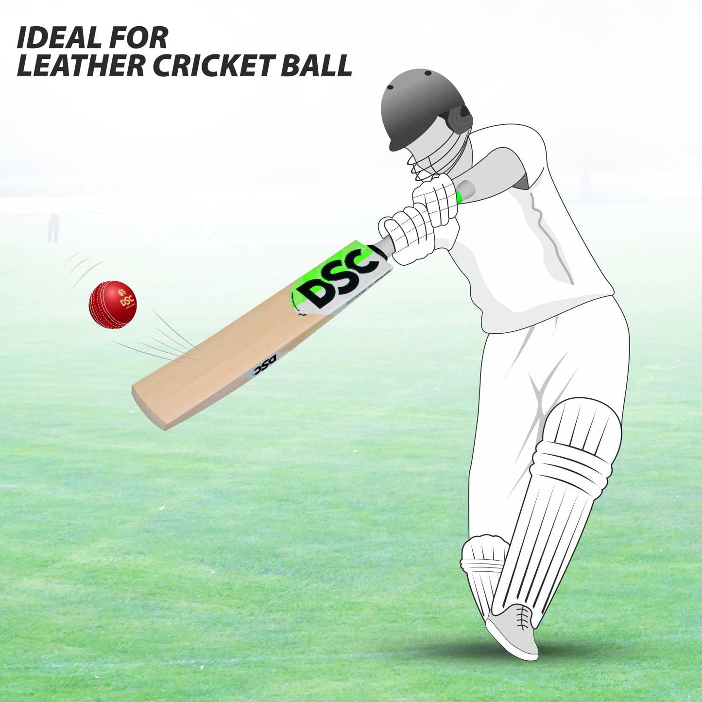 DSC SPLIIT 6.0 English Willow Cricket Bat SH