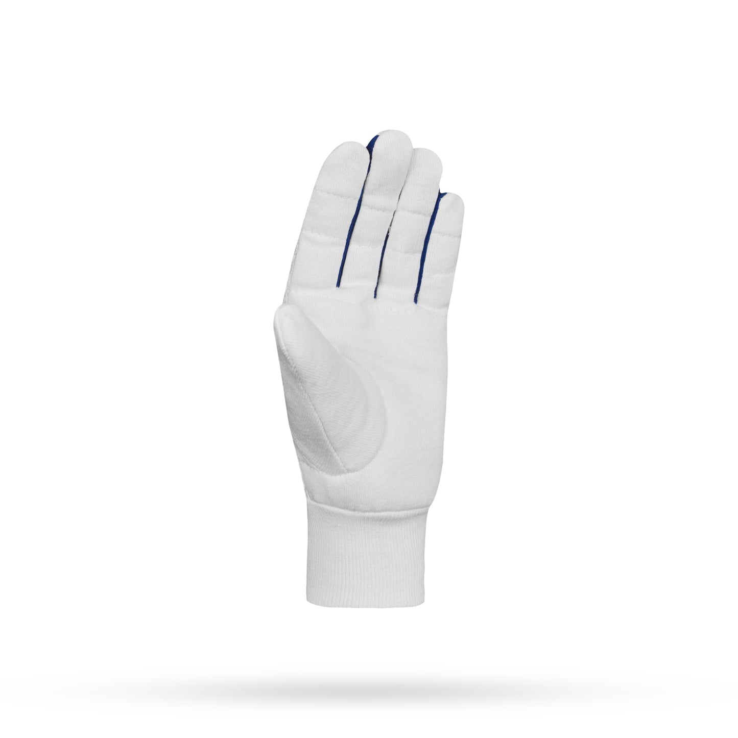 DSC Surge Inner Wicket Keeping Gloves