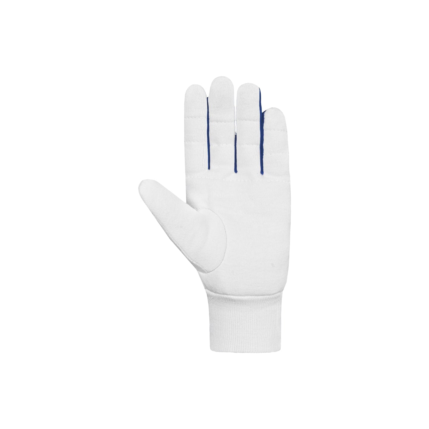 DSC Surge Inner Wicket Keeping Gloves