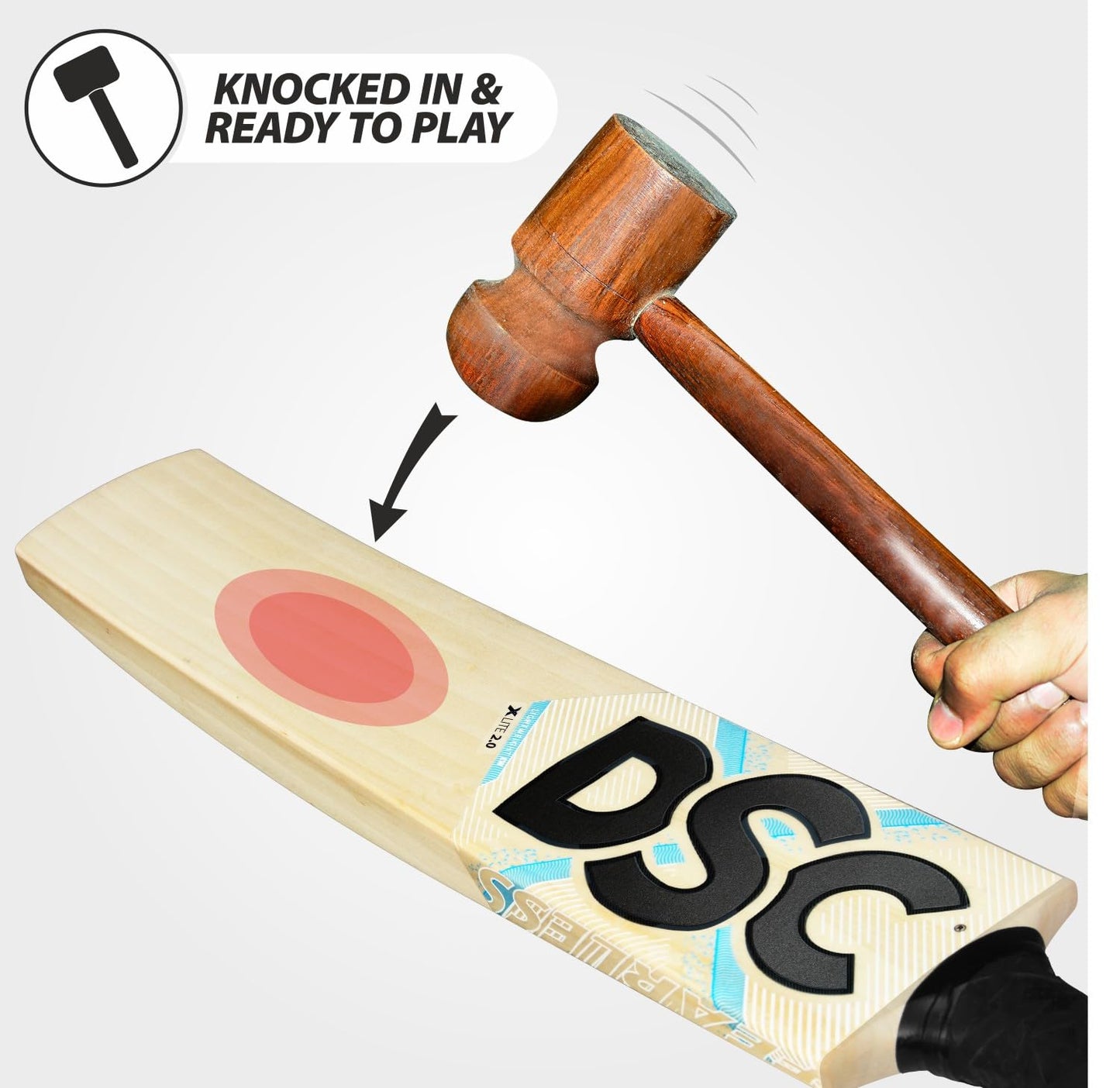 DSC Xlite 2.0 English Willow Cricket Bat SH