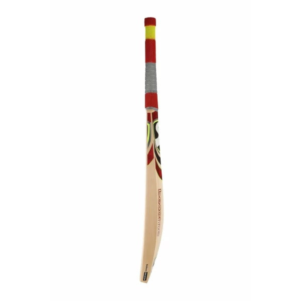 SG SR210 Players Edition English Willow Cricket Bat SH