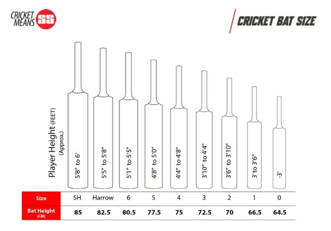 SS Master 99 English Willow Cricket Bat -SH