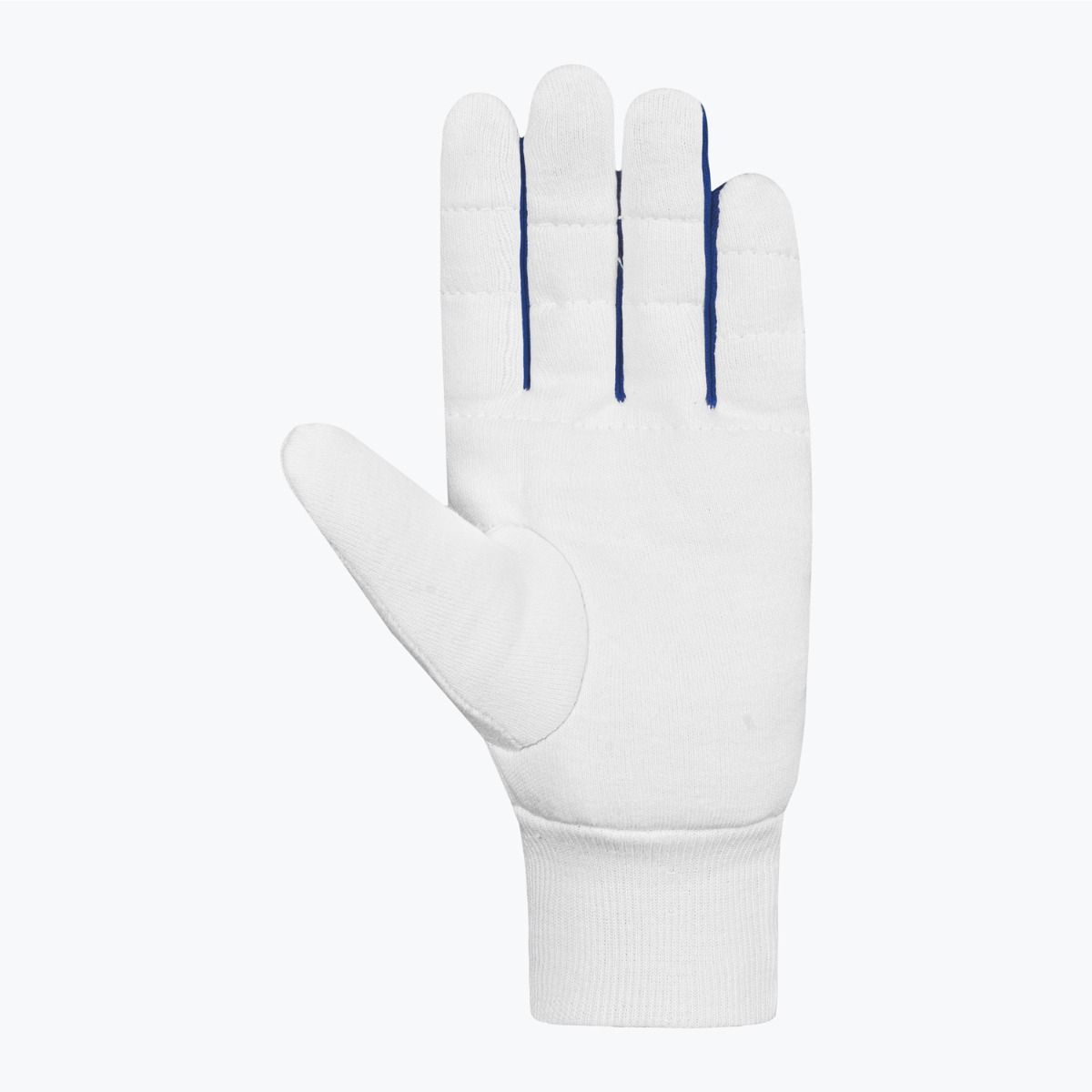 DSC Surge Inner Wicket Keeping Gloves