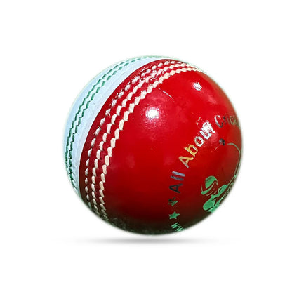 AAC Dual Color Cricket Training Balls