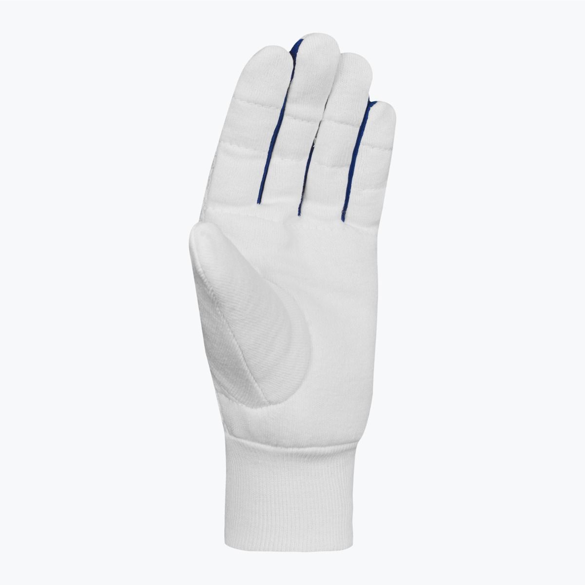 DSC Surge Inner Wicket Keeping Gloves