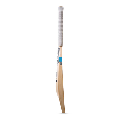 Focus Pure Performance English Willow Cricket Bat SH