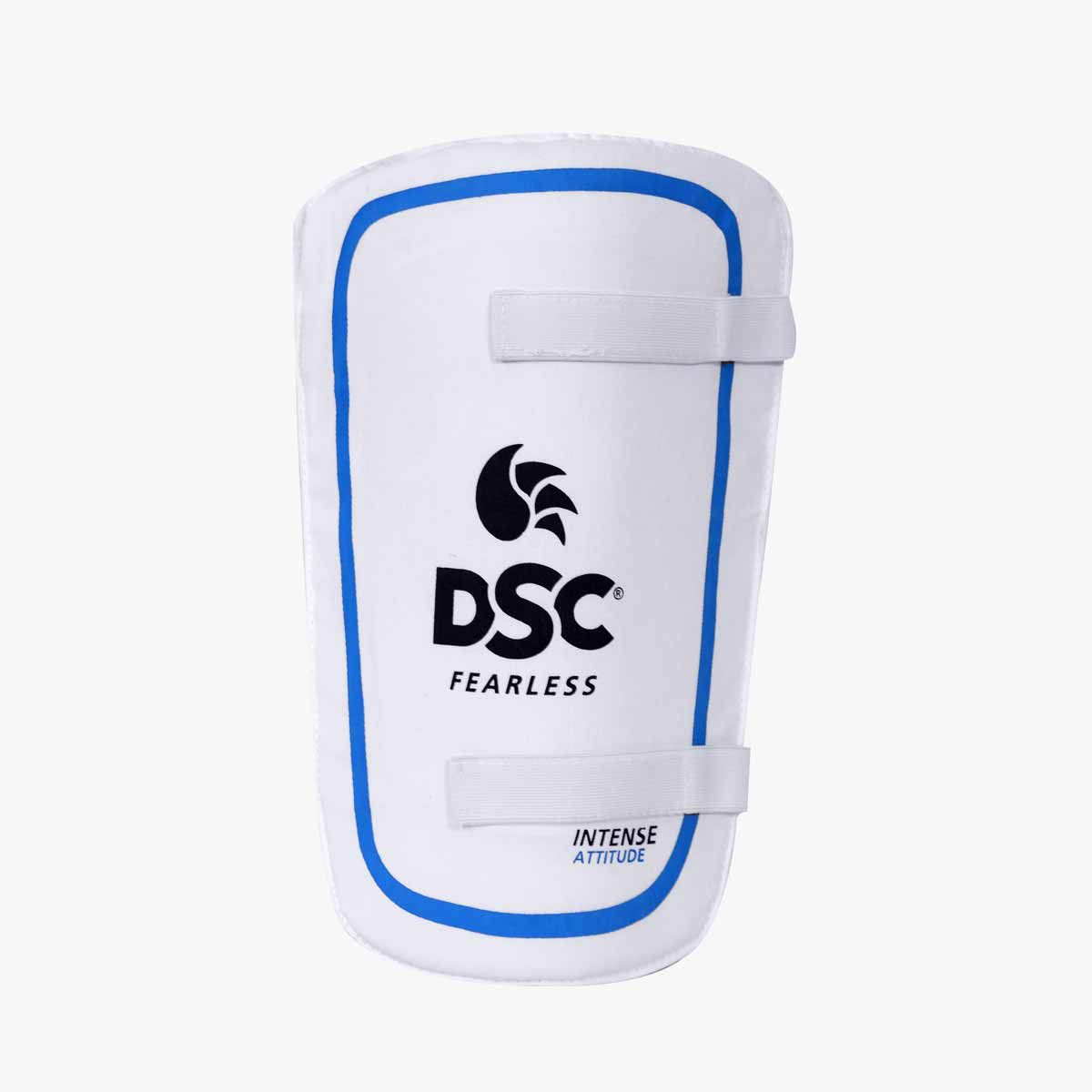 DSC Premium Kashmir Willow Cricket Kit