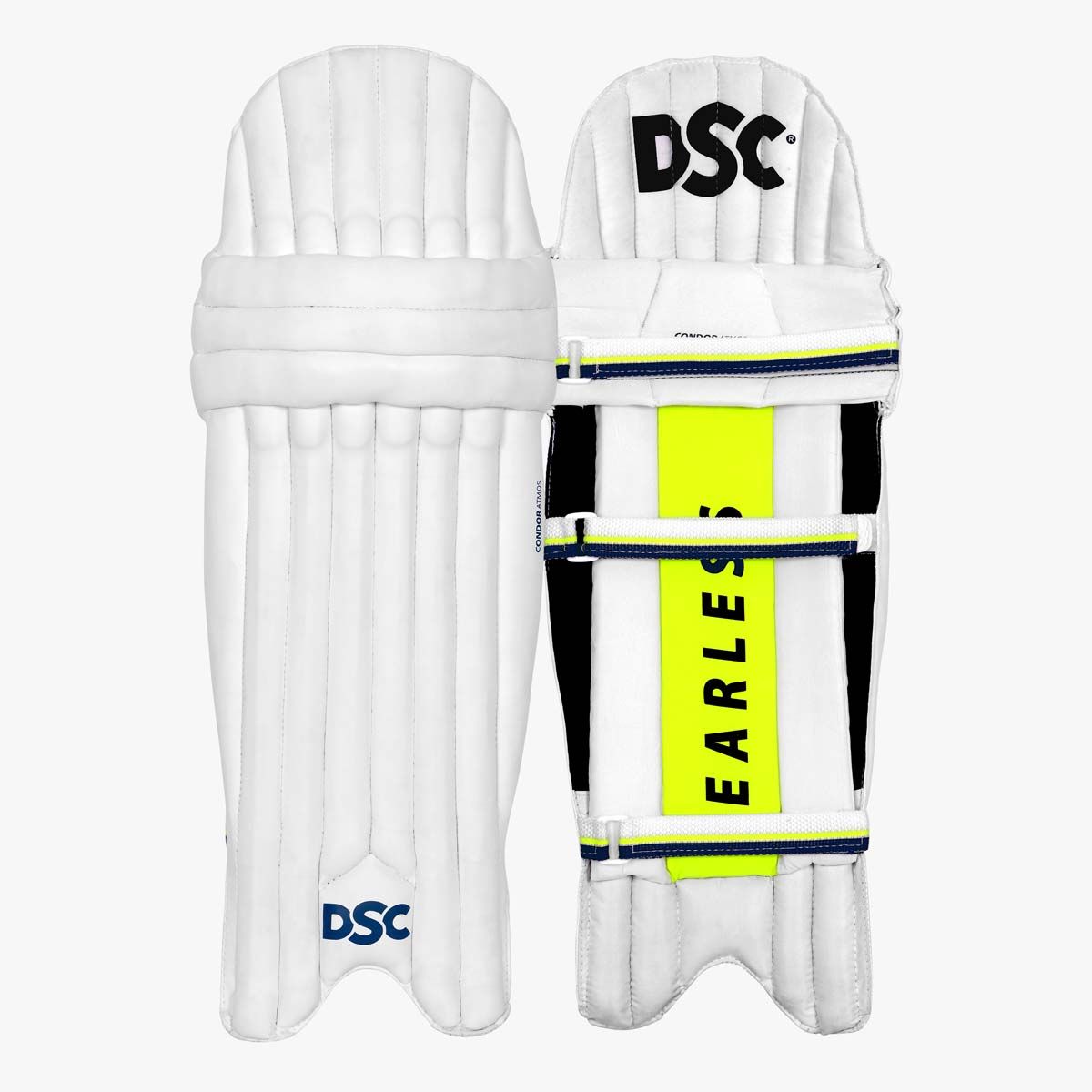 DSC Premium Kashmir Willow Cricket Kit